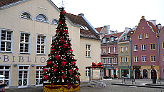 Olsztyn włącza świąteczny tryb. W sobotę rozświetlenie choinki i wyjątkowe wystawy Olsztyn włącza świąteczny tryb. W sobotę rozświetlenie choinki i wyjątkowe wystawy
